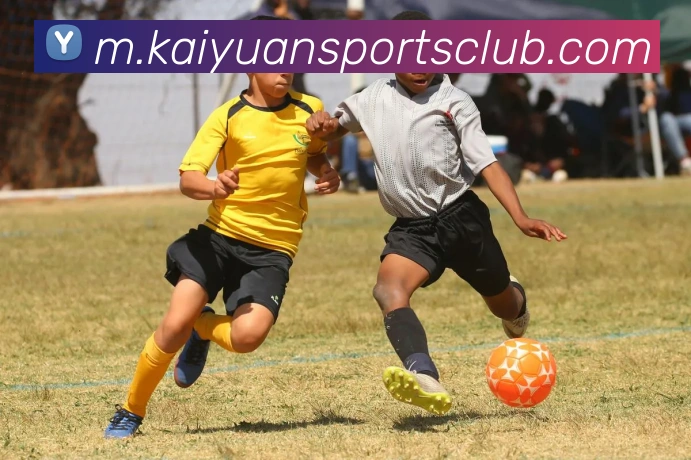 App Interface Preview