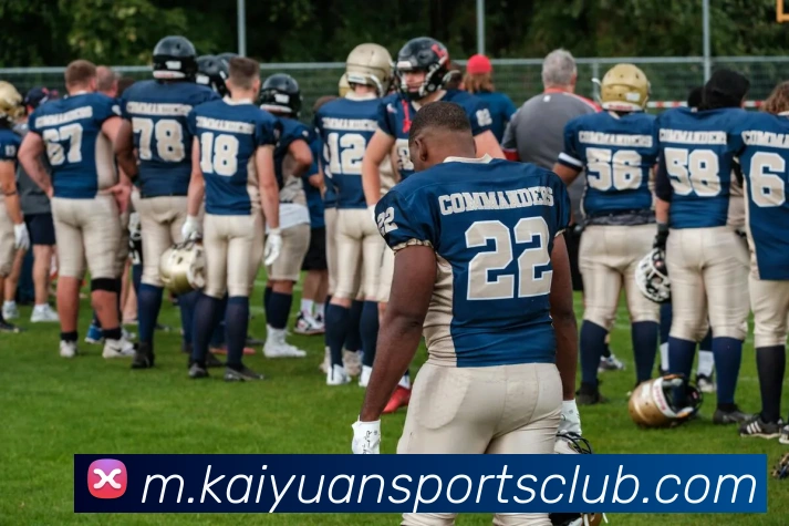 开元体育APP 封面图